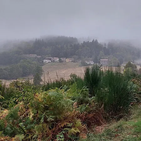 Проживание в семье Basique, Endroit Magique