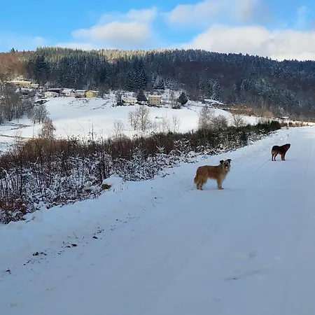 Basique, Endroit Magique *