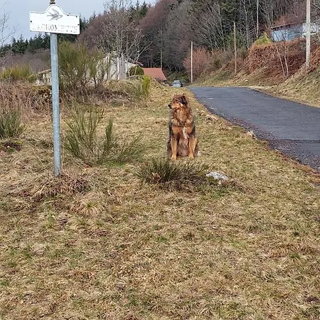 Basique, Endroit Magique * La Renaudie