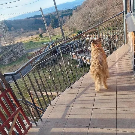 Basique, Endroit Magique *